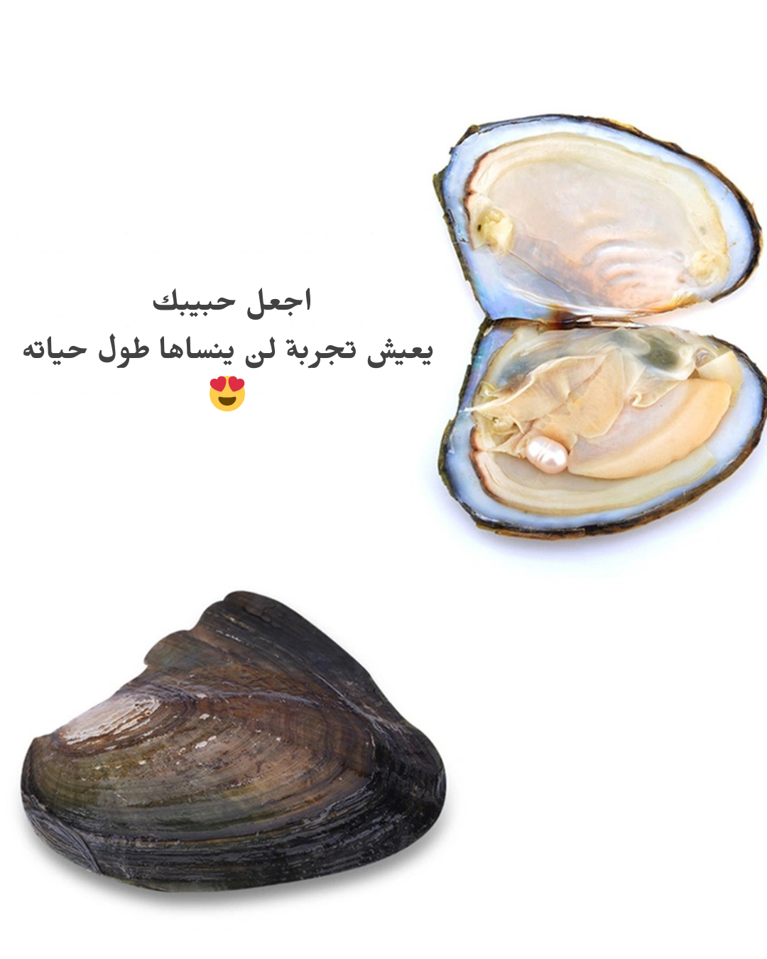 قلادة الؤلؤ الاصلية